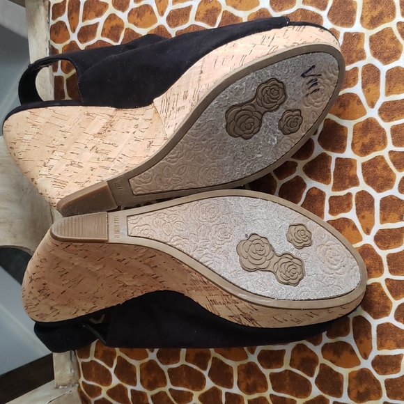 Carlos - Picture 11 of 11